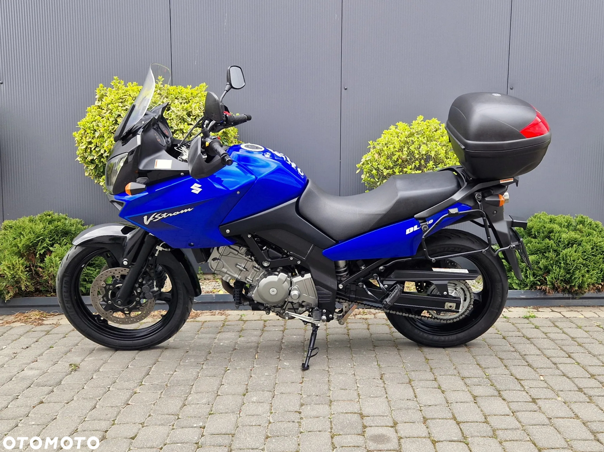 Suzuki DL - 6