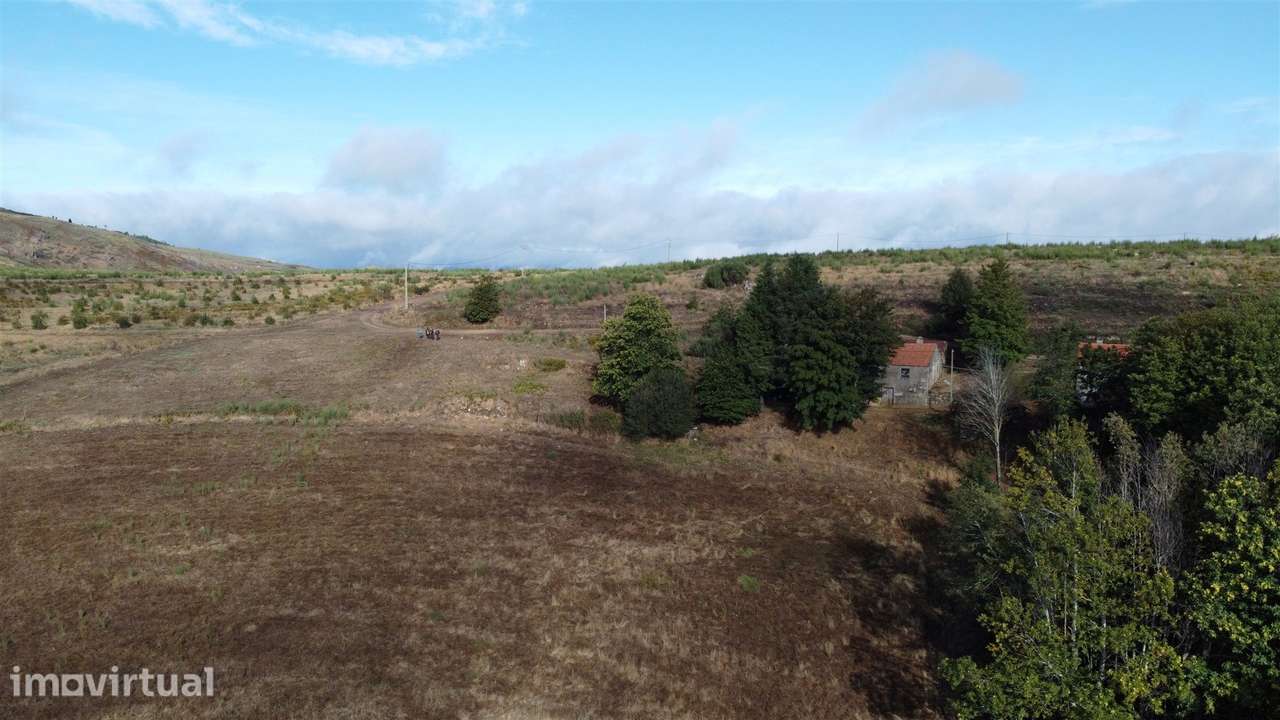 Duas habitações em 18 hectares - Grande imagem: 5/21