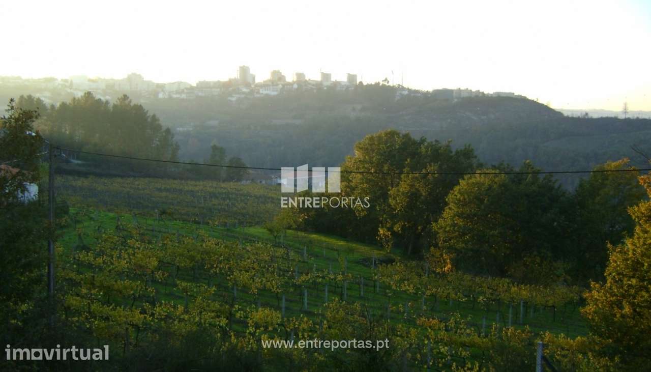 Venda Terreno, Fornos, Marco de Canaveses - Grande imagem: 4/8