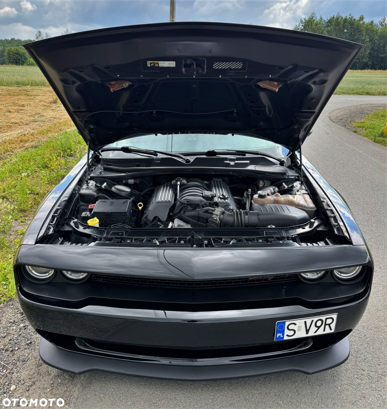 Dodge Challenger - 30