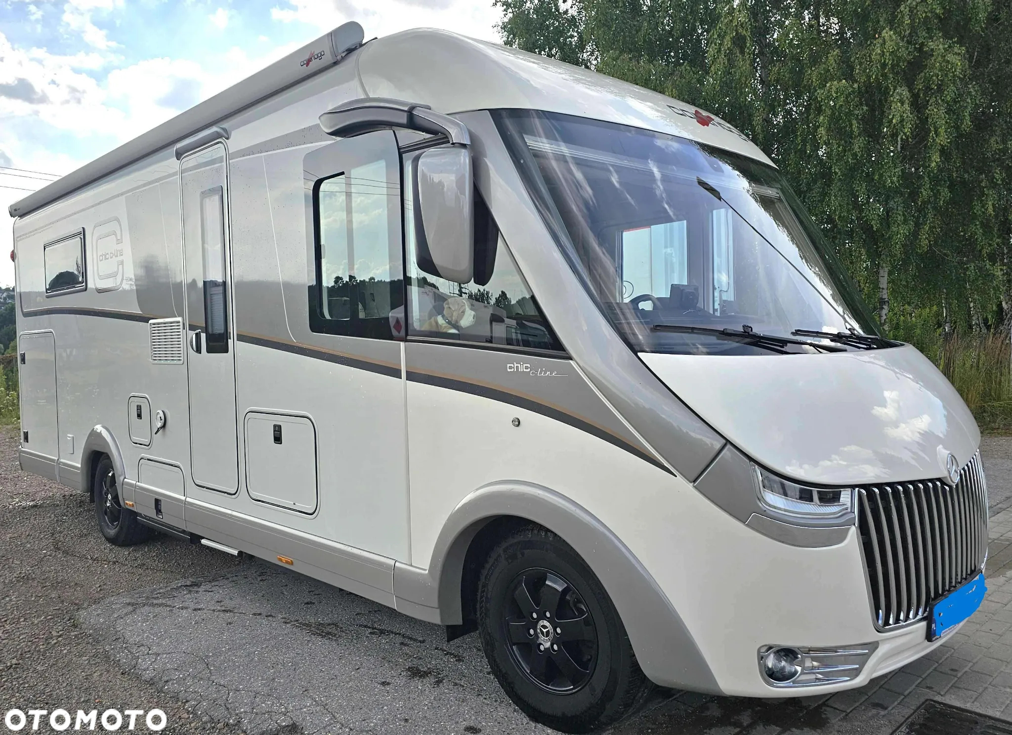 Carthago CHIC C-LINE 5.0 QB - 3