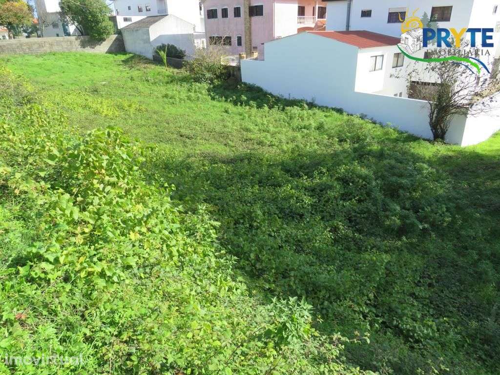Lote para construção situado em Cernache do Bonjardim - Grande imagem: 4/4
