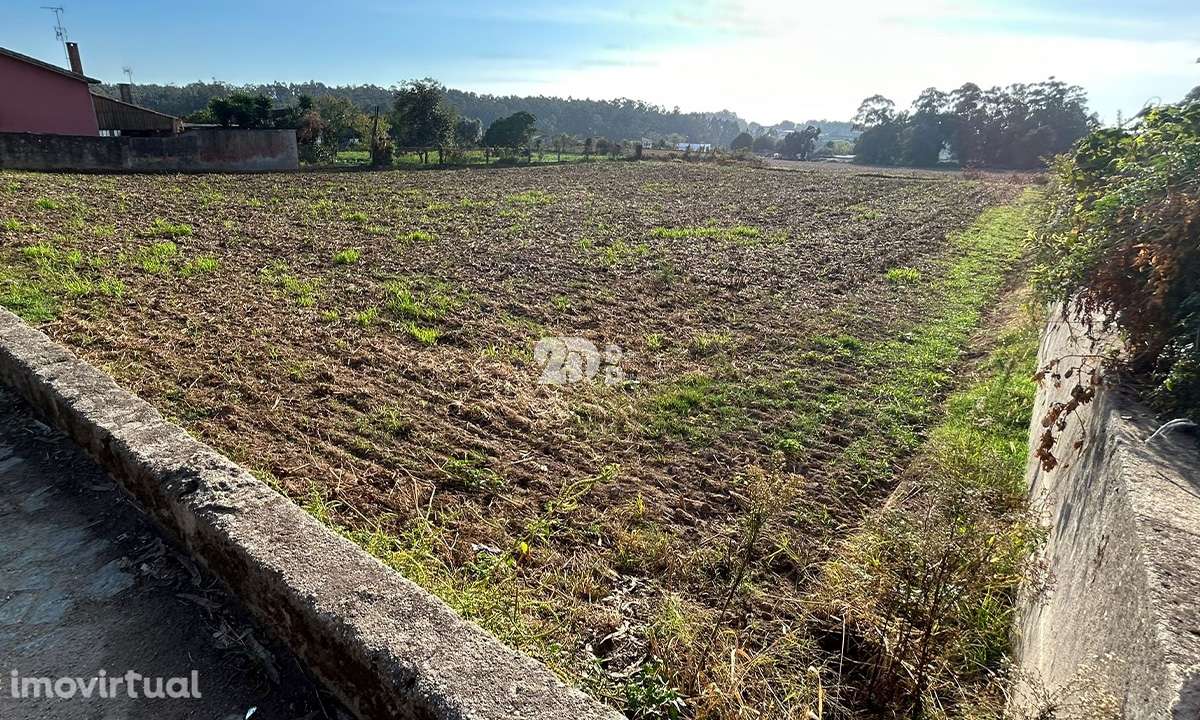 Terreno 3000m² p/ construção - Vilar e Mosteiró - Grande imagem: 4/11