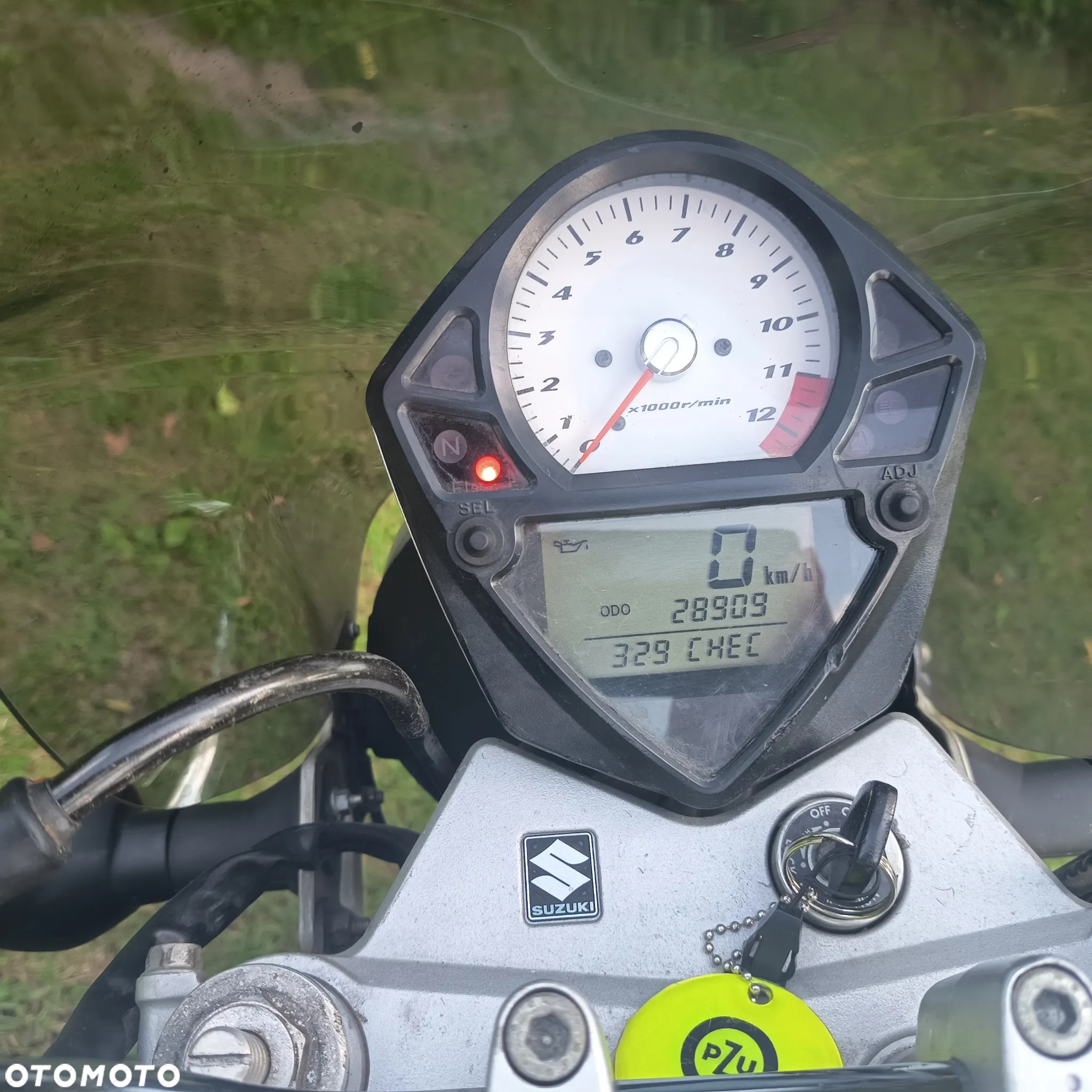 Suzuki SV - 4