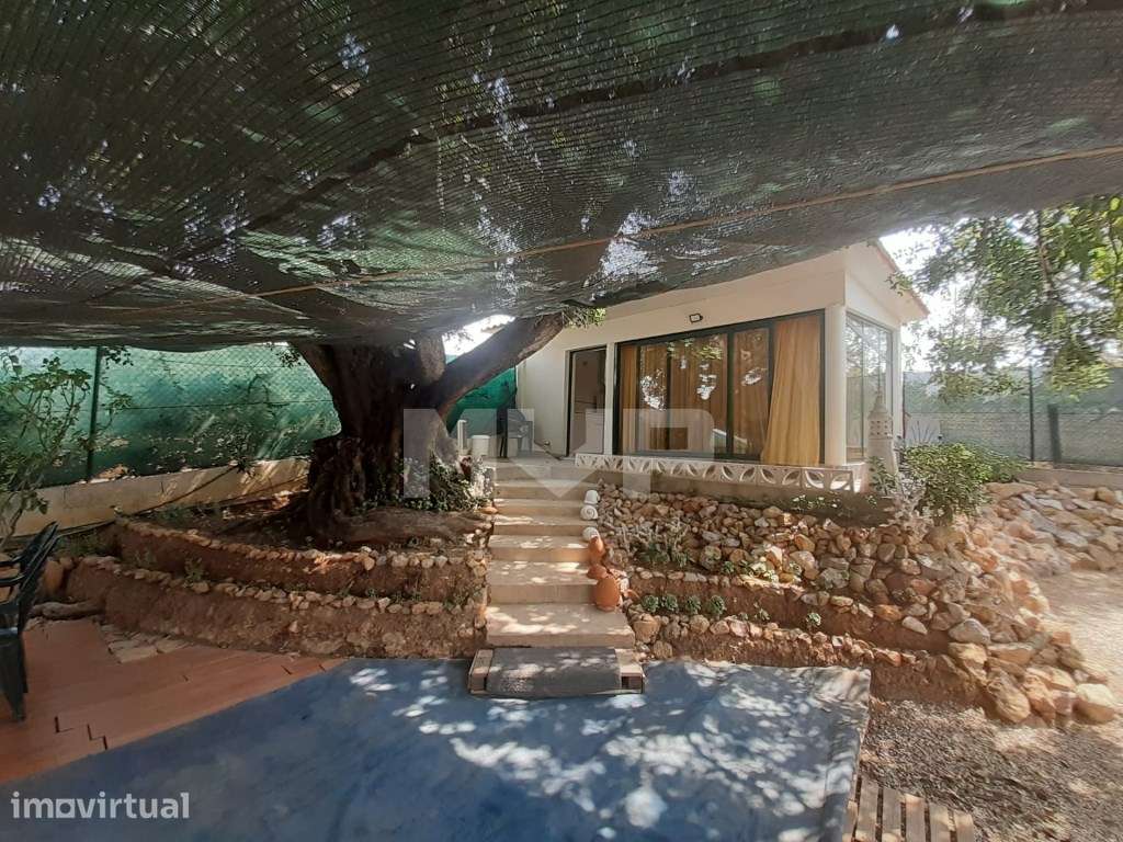 Terreno rústico em Quelfes - Grande imagem: 2/21