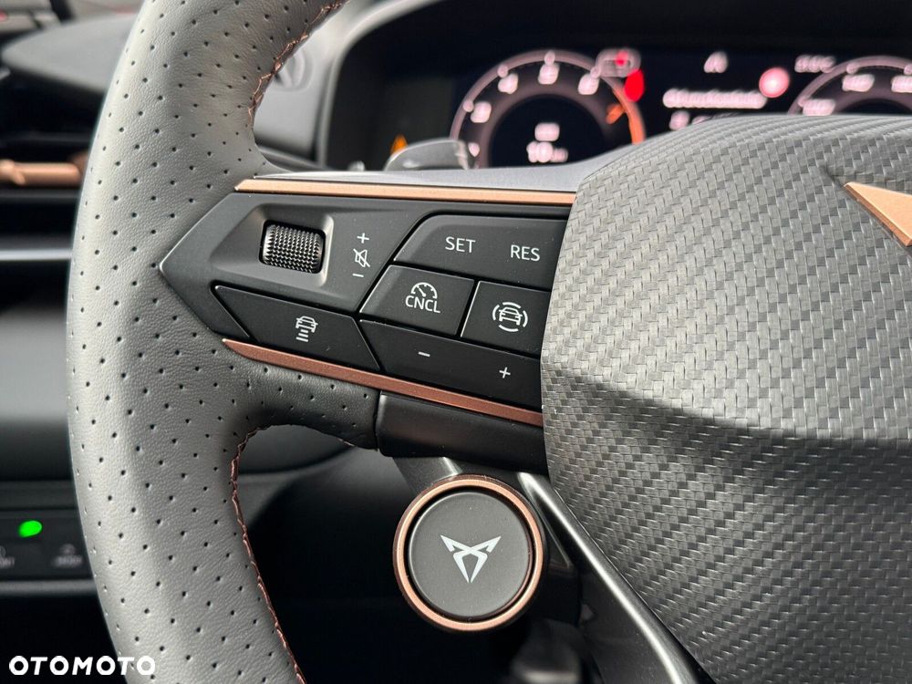 Cupra Terramar - 30