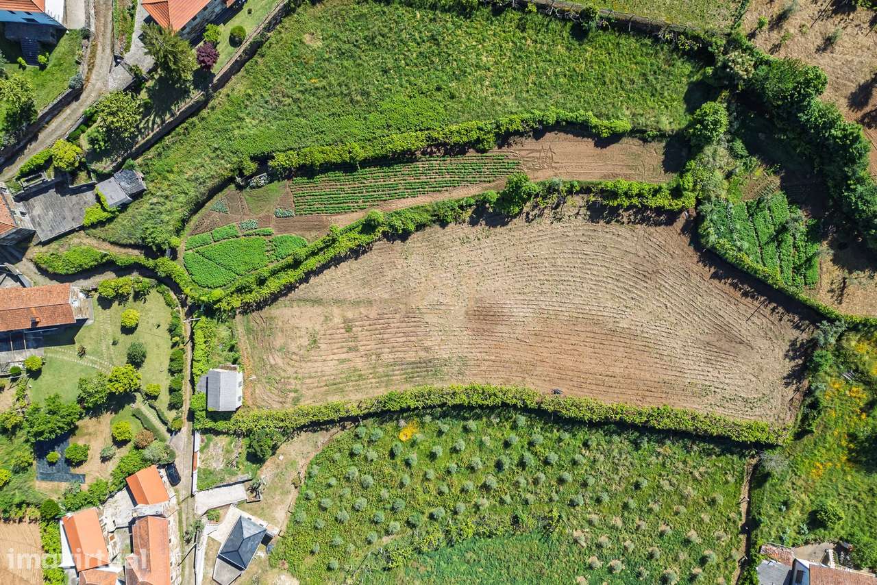 Terreno amplo para investimento em Arouca - Grande imagem: 4/25