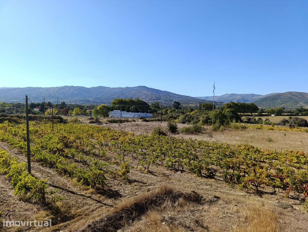 Quinta com moradia de 2 Pisos e 4 Ha em Belmonte - Grande imagem: 2/58