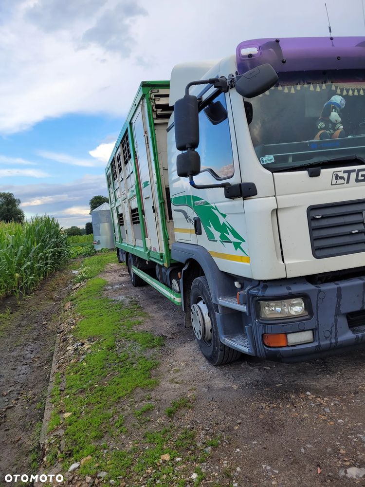 MAN TGM 15.240 - 2