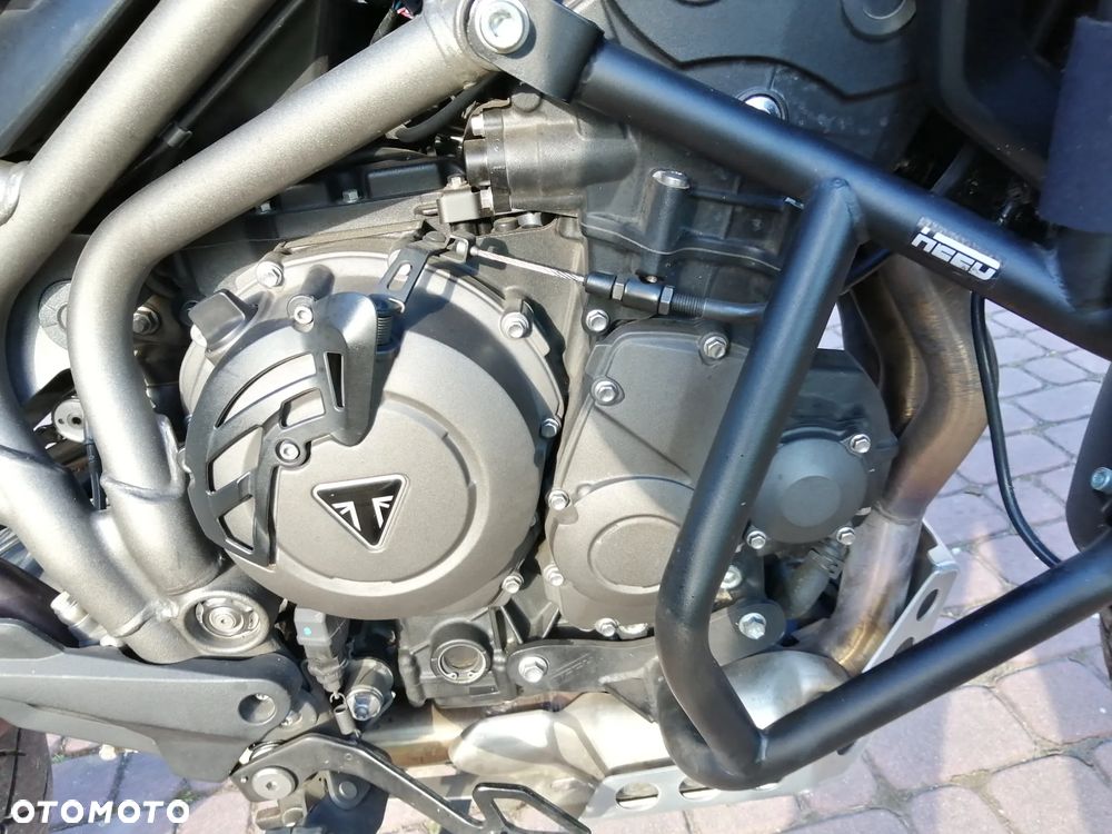 Triumph Tiger - 19