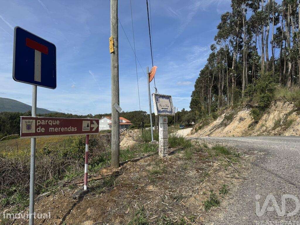Terreno Agrícola em Olhalvo - Grande imagem: 4/40