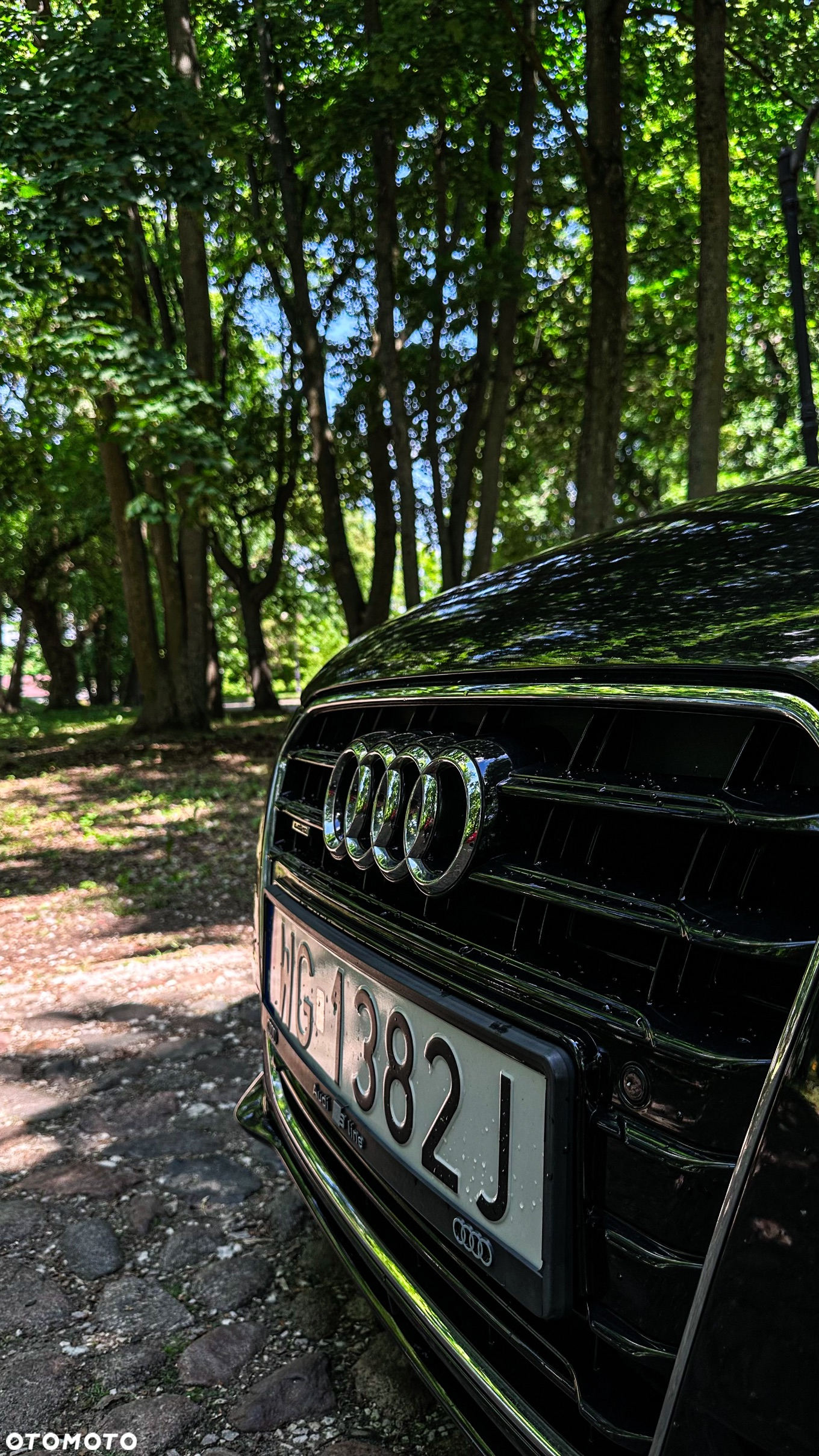 Audi A5 3.0 TDI Quattro S tronic - 17