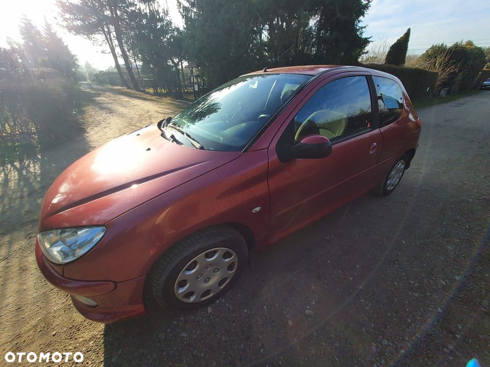 Peugeot 206 - 1