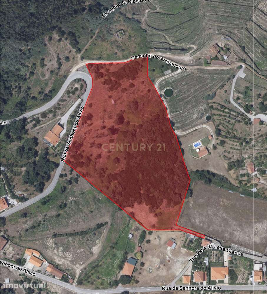 Terreno com PIP Aprovado | 22.523 m² | Resende – Viseu - Grande imagem: 5/15