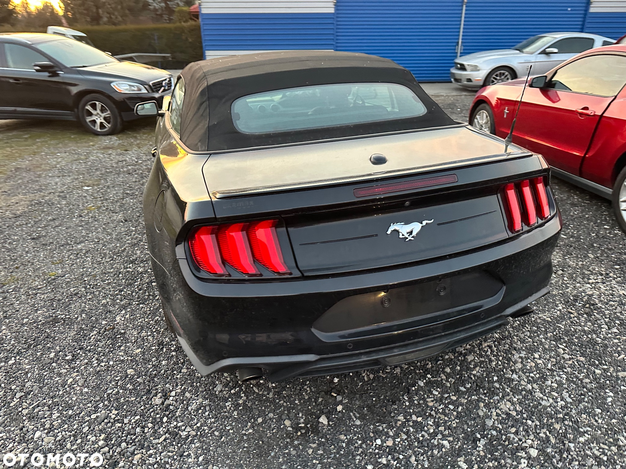 Ford Mustang Cabrio 2.3 Eco Boost - 4