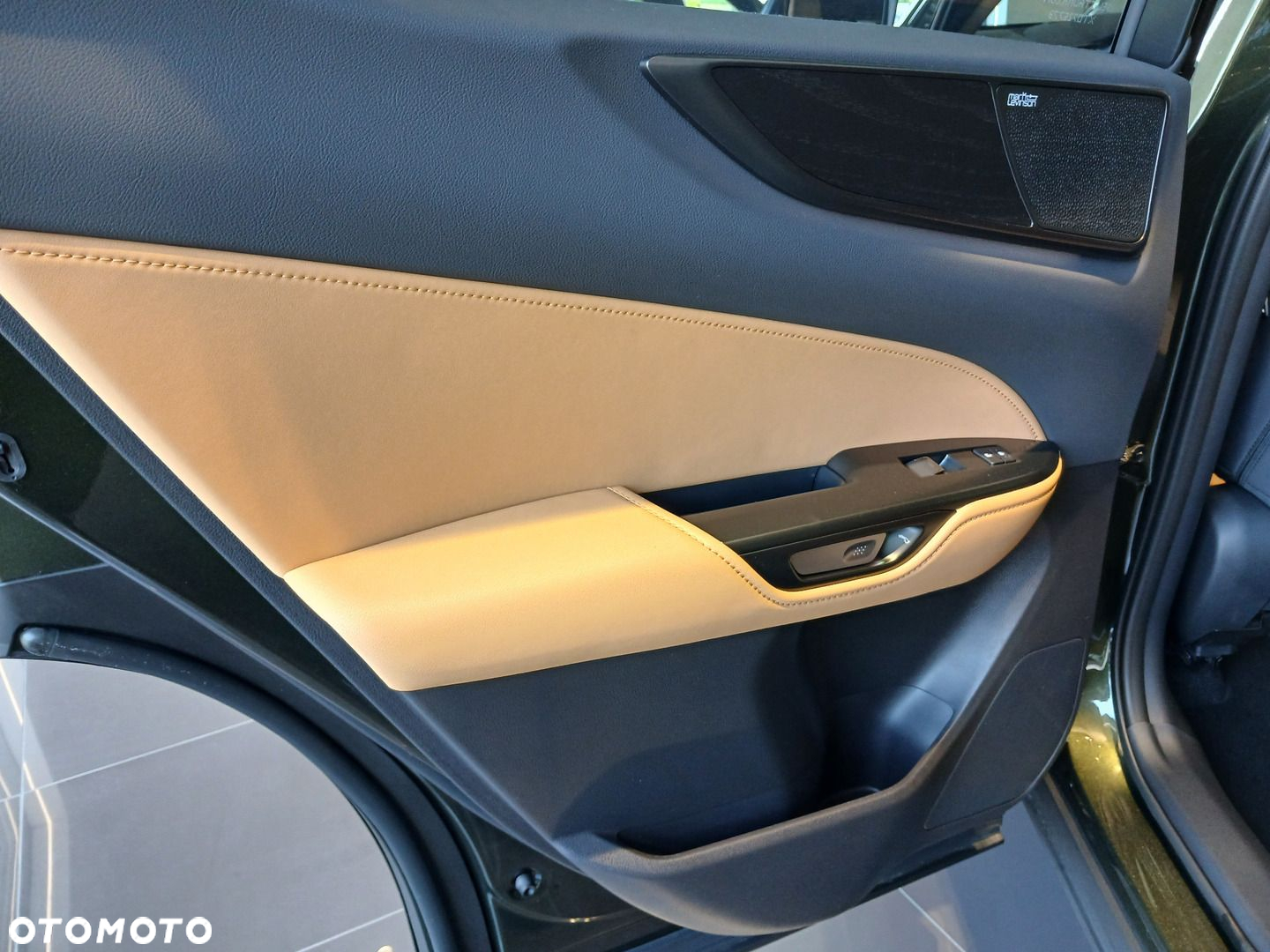 Lexus NX - 19