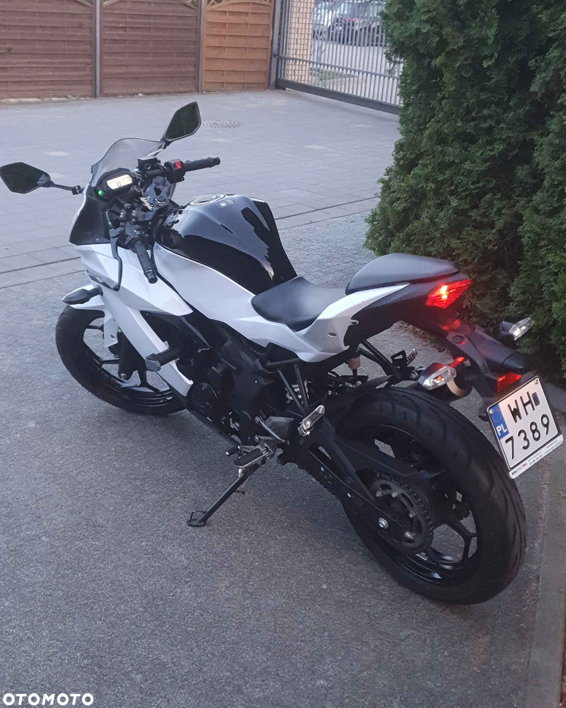 Kawasaki Ninja 250R - 10