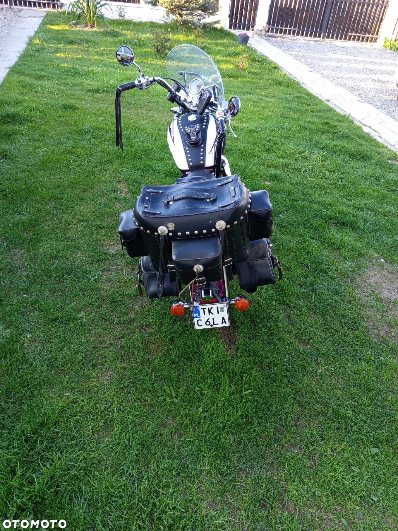 Honda Shadow - 14