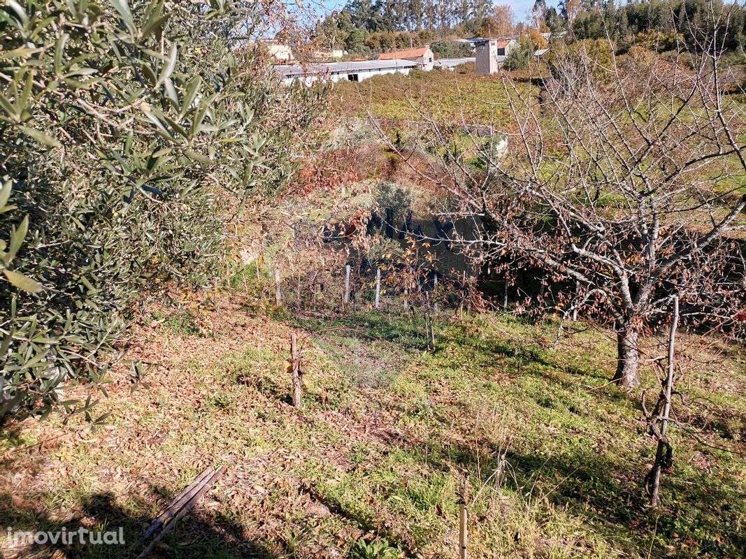 Terreno  para venda - Grande imagem: 5/6