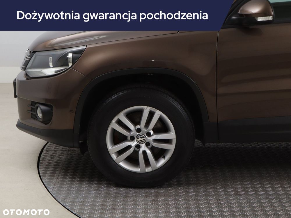 Volkswagen Tiguan - 17