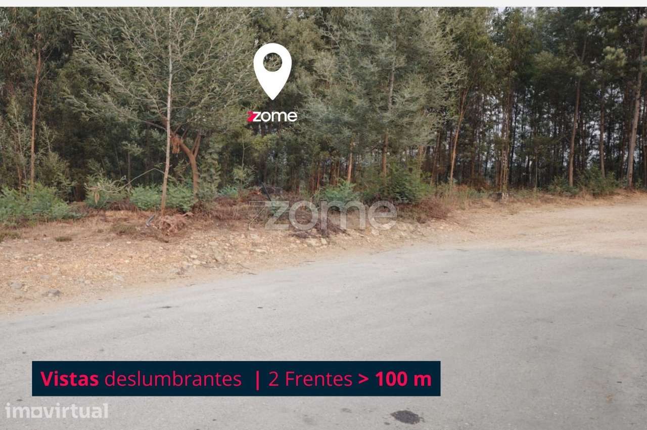 Terreno | Penacova | Porto da Raiva | 5984 m2 - Grande imagem: 5/16