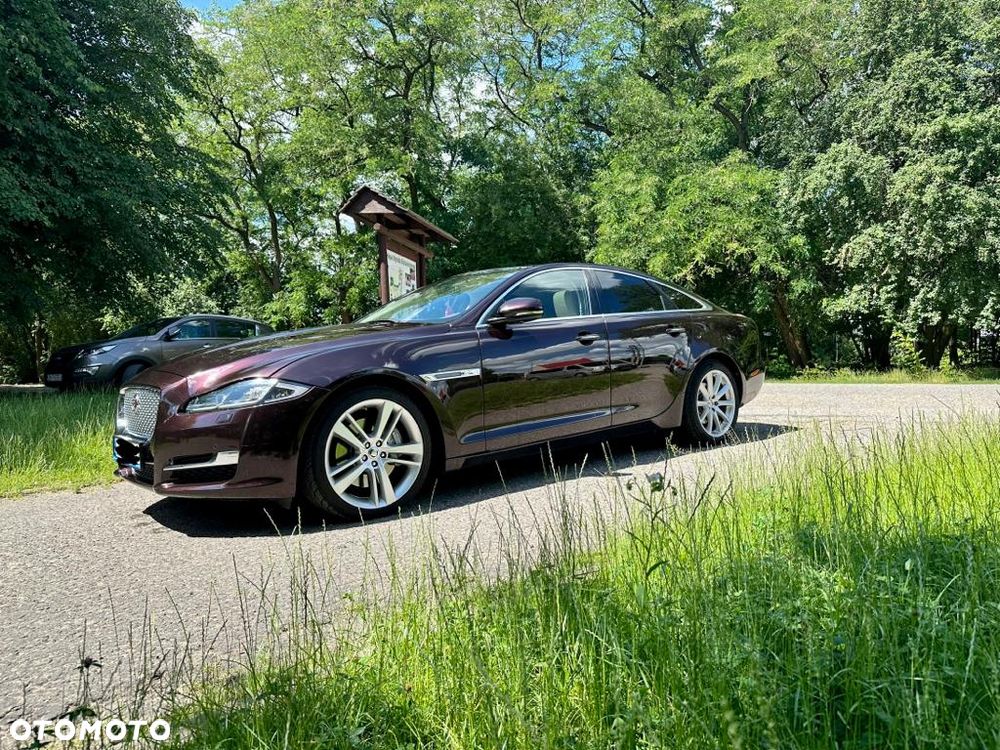 Jaguar XJ 3.0 V6 Kompressor AWD Portfolio - 1