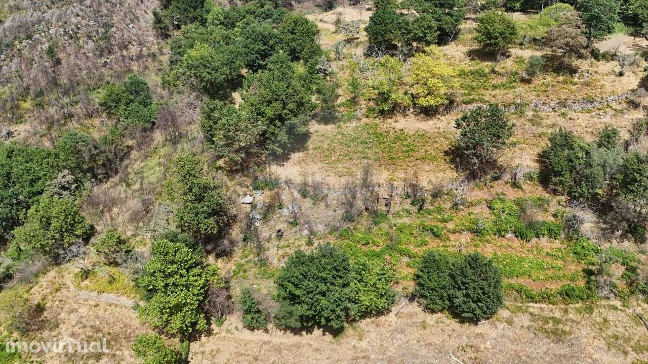 Terreno  para venda - Grande imagem: 3/4