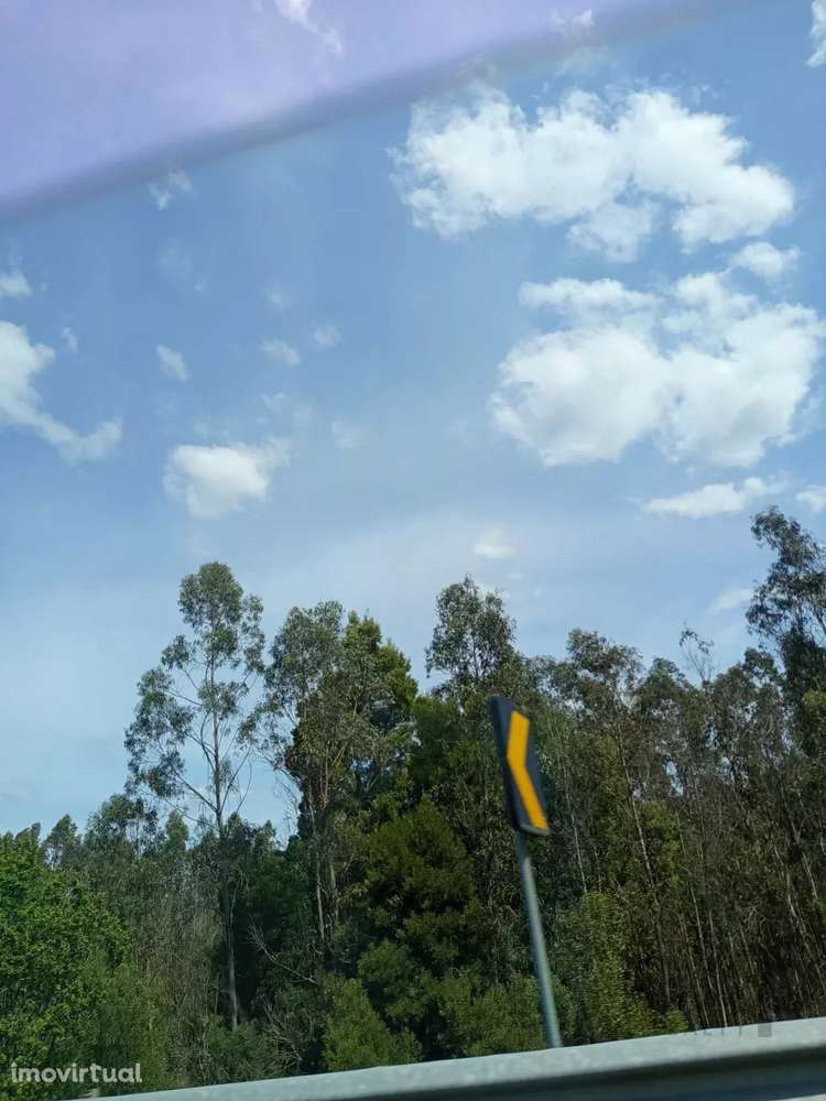 Terreno com 16 Hectares em Nelas - Grande imagem: 3/11