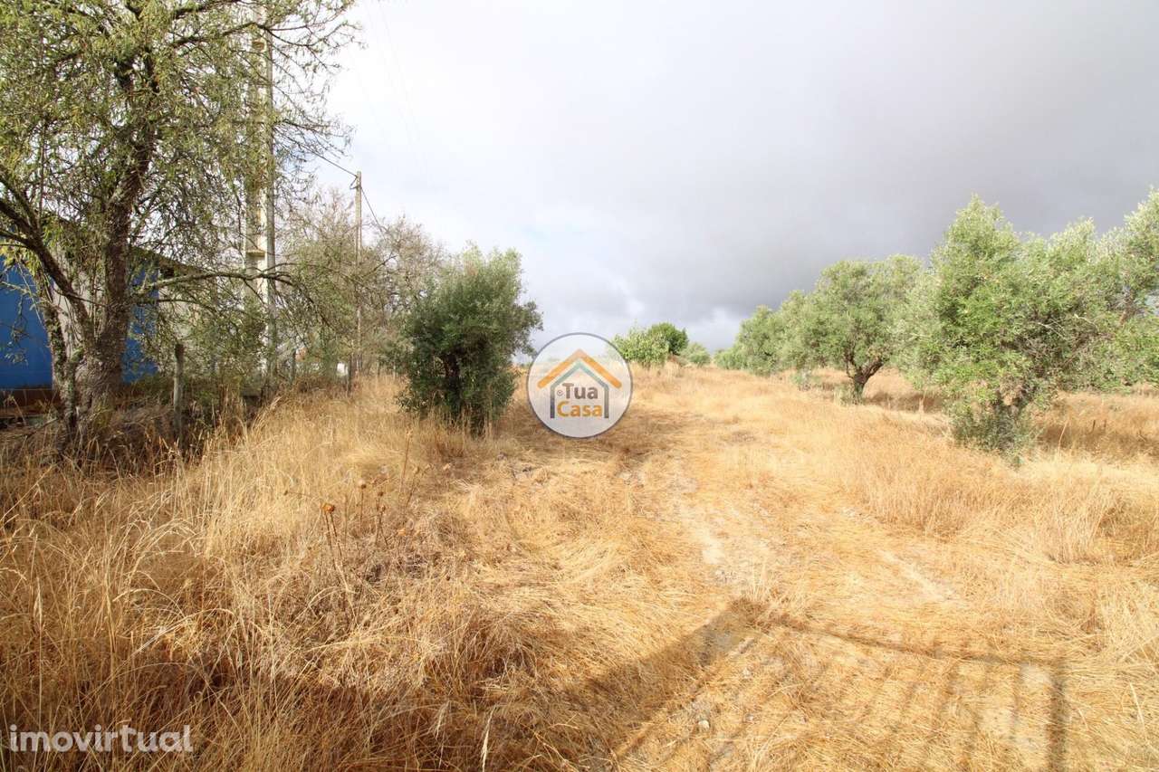 Terreno Misto com 26.000m2 com Área Urbana de 296m2 em Reguengos de Mo - Grande imagem: 4/33