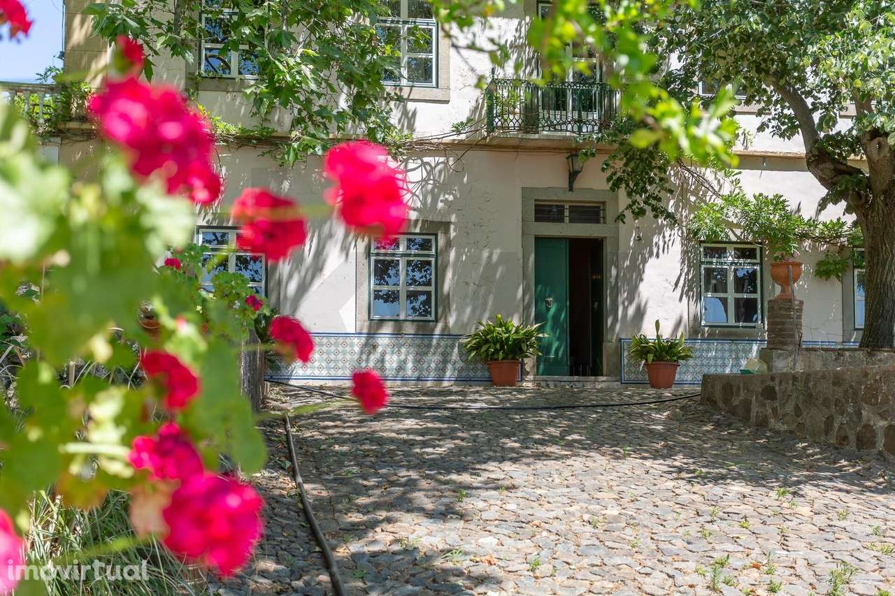 Propriedade única no Alentejo com casa senhorial, 5 moradias e 3,3ha d - Grande imagem: 2/60