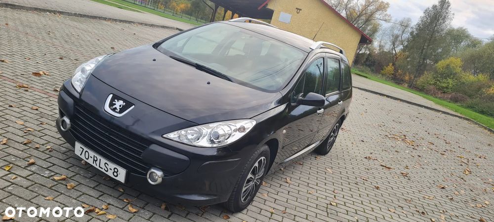 Peugeot 307 - 23