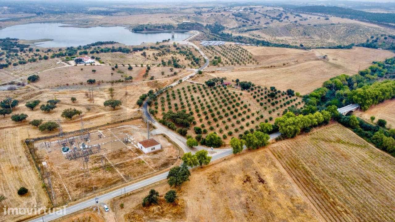 Herdade dos Barros em Terena: Terreno com 9,1 ha, Vinha Ativa e Viabil - Grande imagem: 2/15