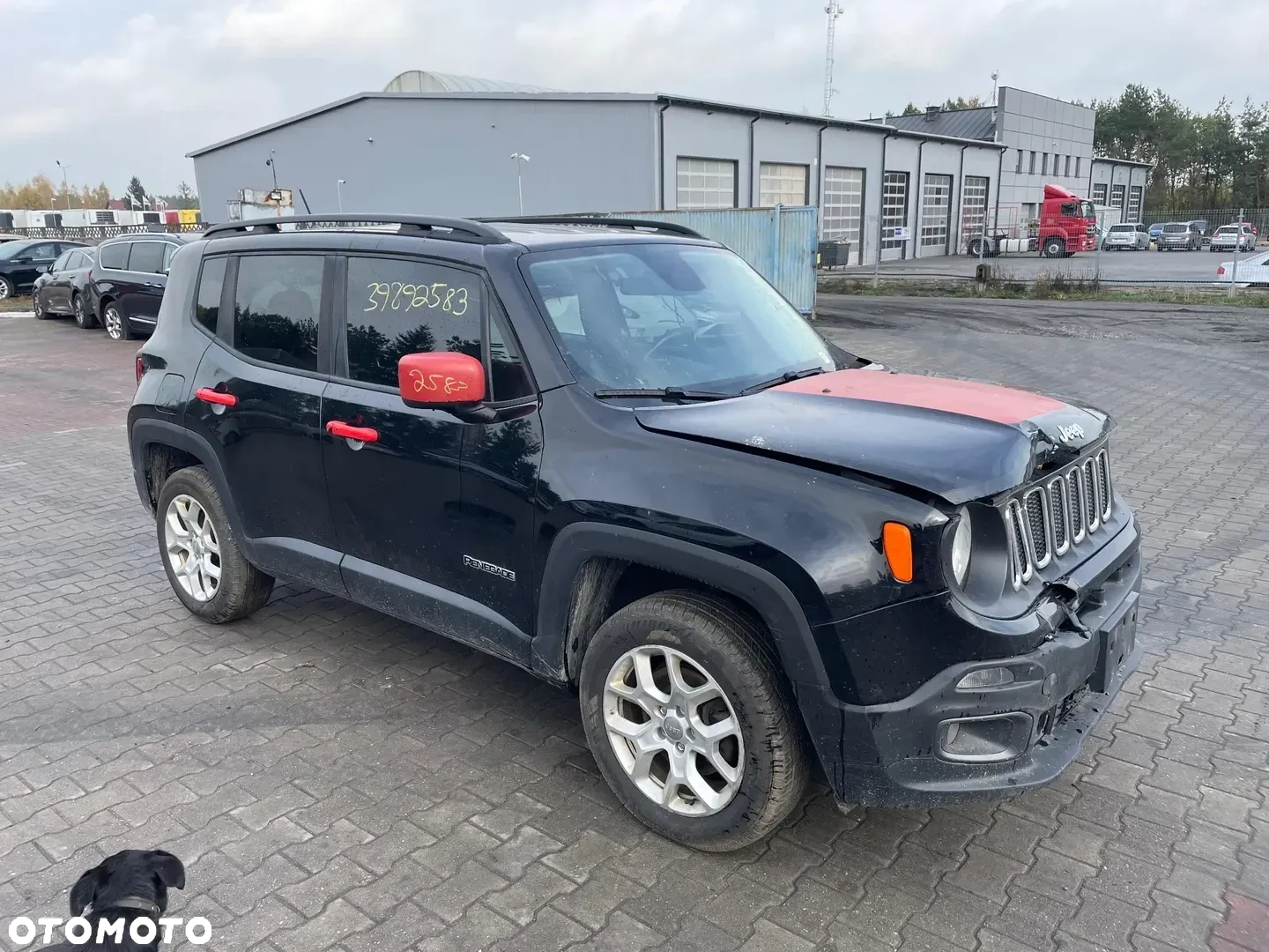 Jeep Renegade - 3