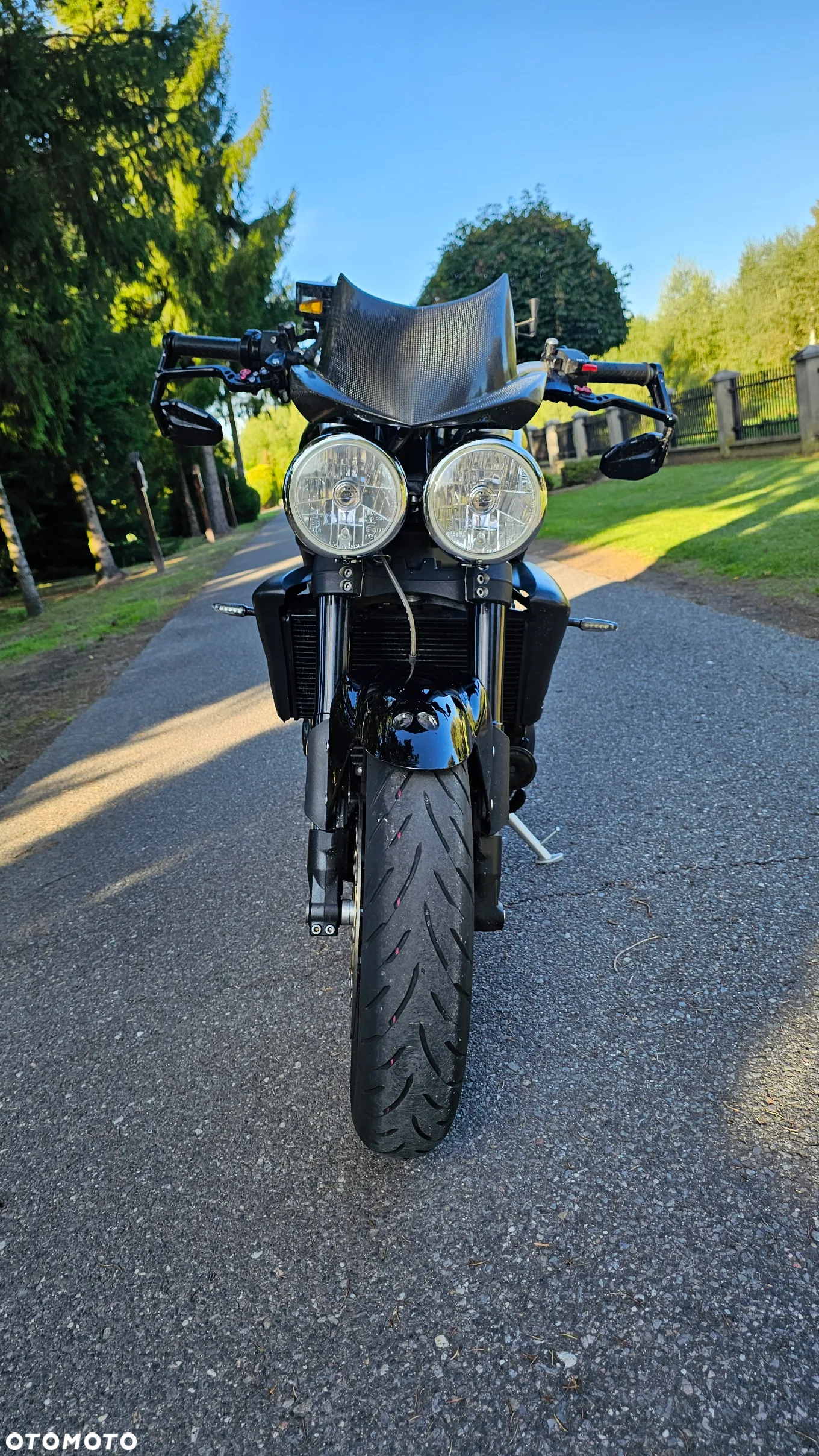 Triumph Speed Triple - 3