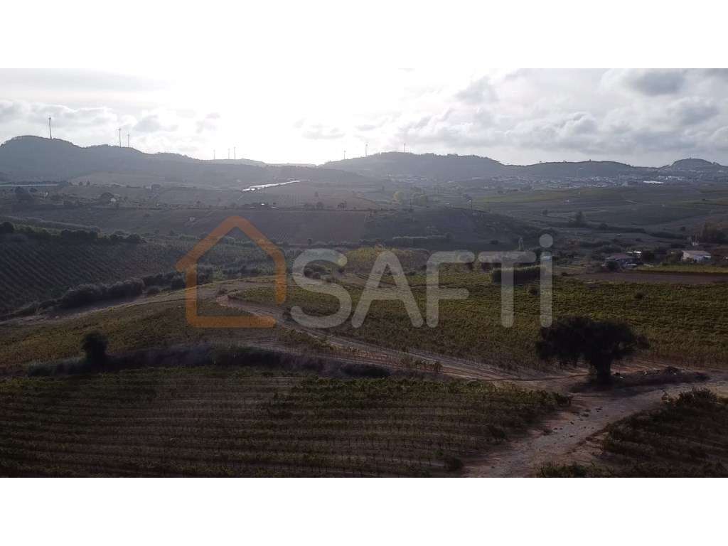 TERRENO RUSTICO - Grande imagem: 5/10