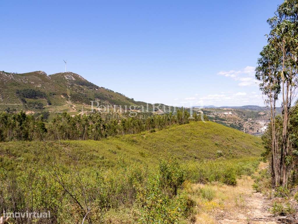 Terreno de 14,5ha com Viabilidade para Construção - Grande imagem: 3/22