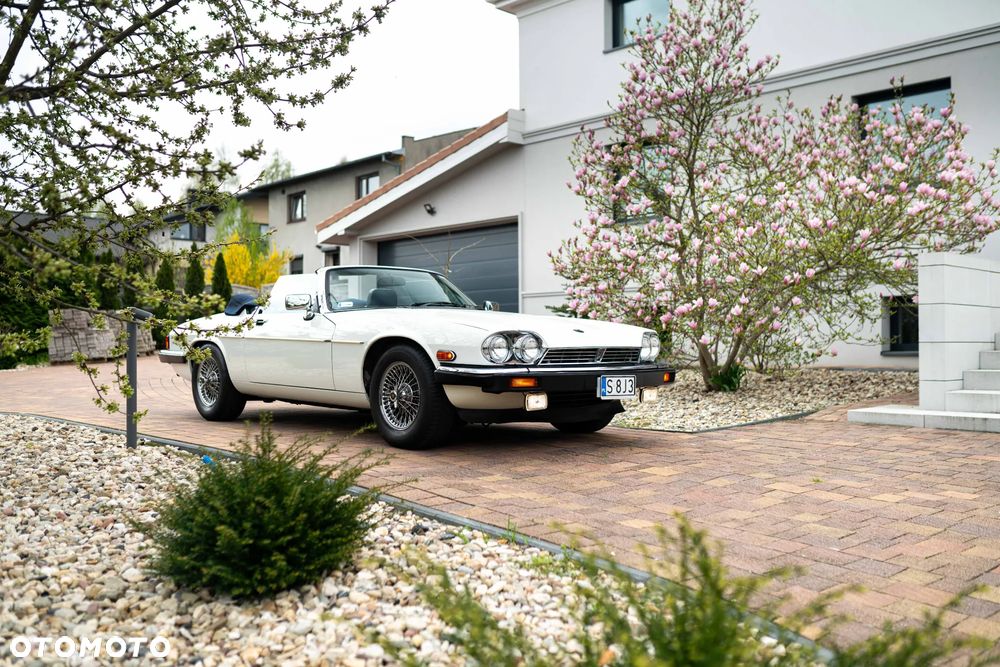Jaguar XJS 5.3 - 8