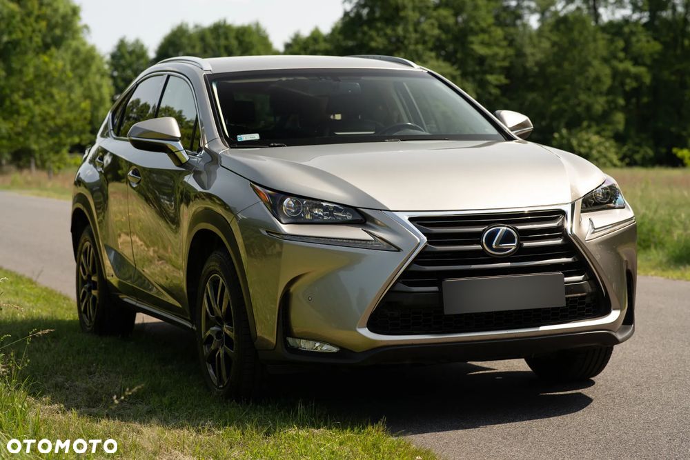Lexus NX - 1