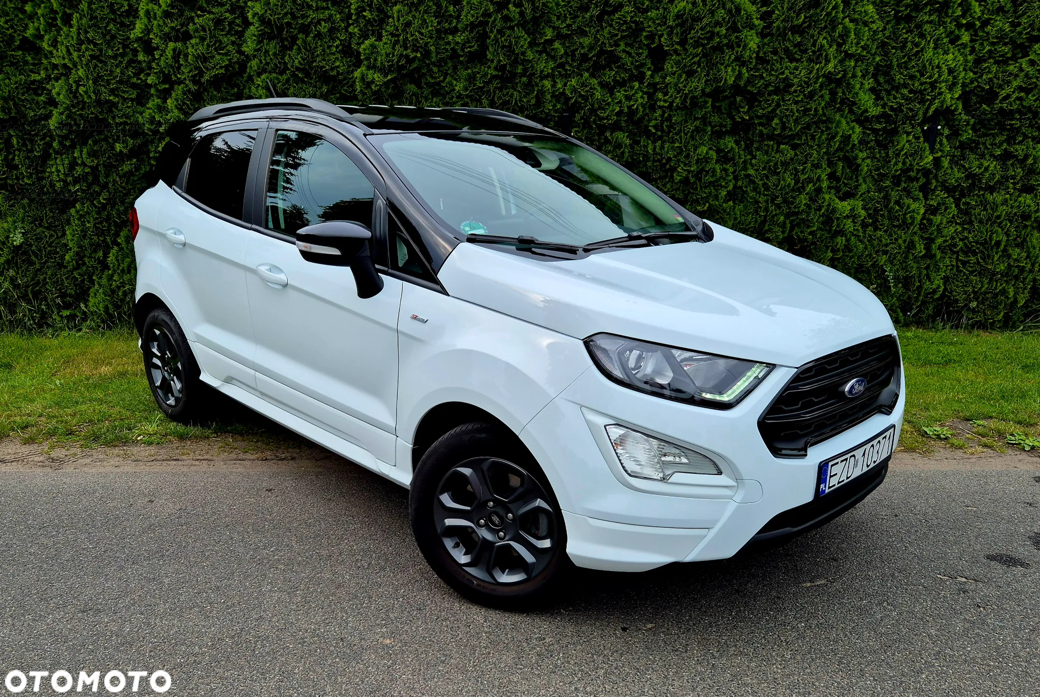 Ford Fiesta - 15