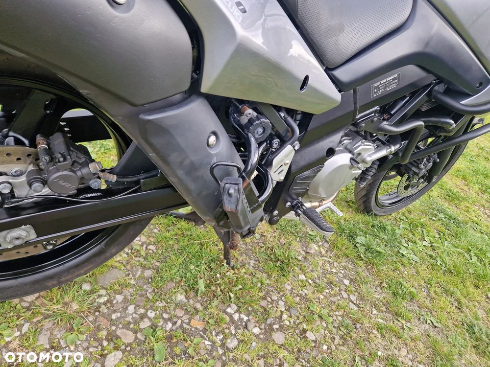 Suzuki V-STROM - 20