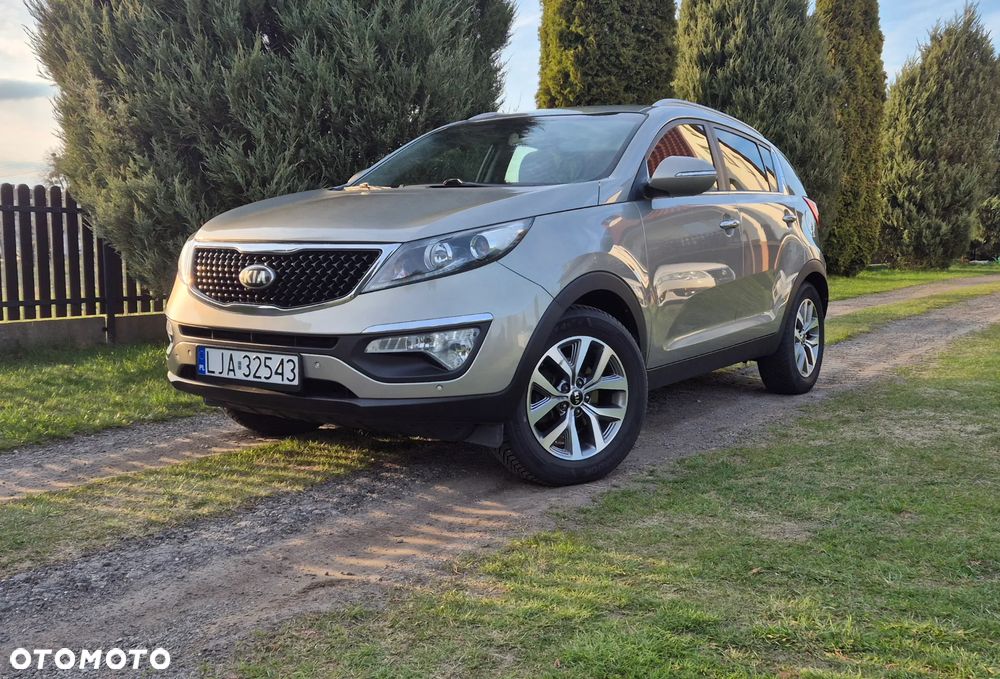 Kia Sportage - 1