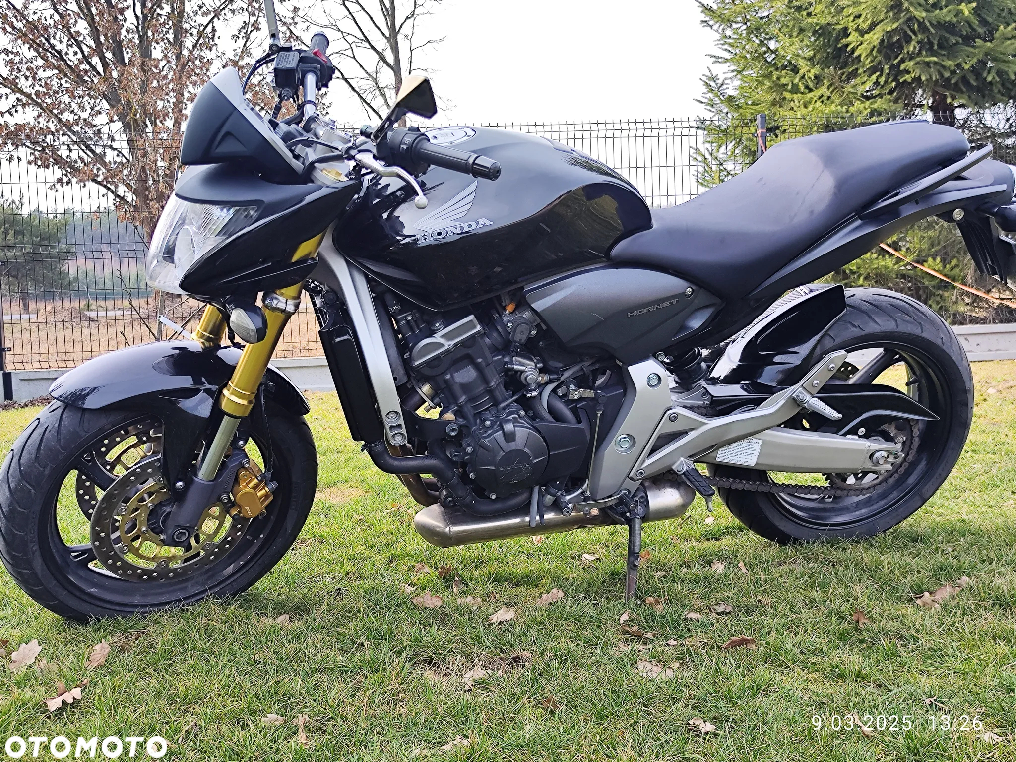 Honda Hornet - 12