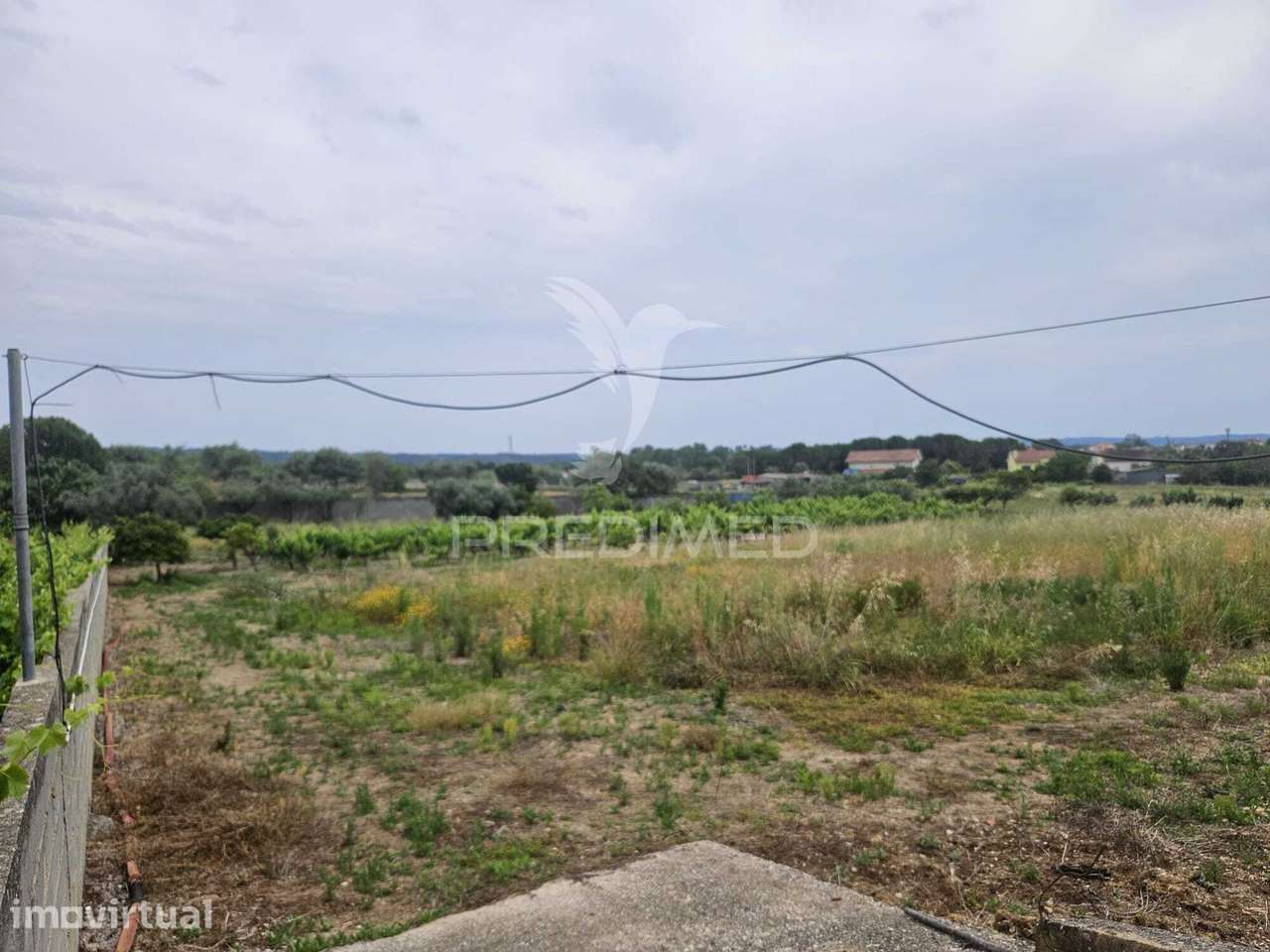 Terreno na entrada de Tomar com parcela urbana 1200m2 - Grande imagem: 2/23