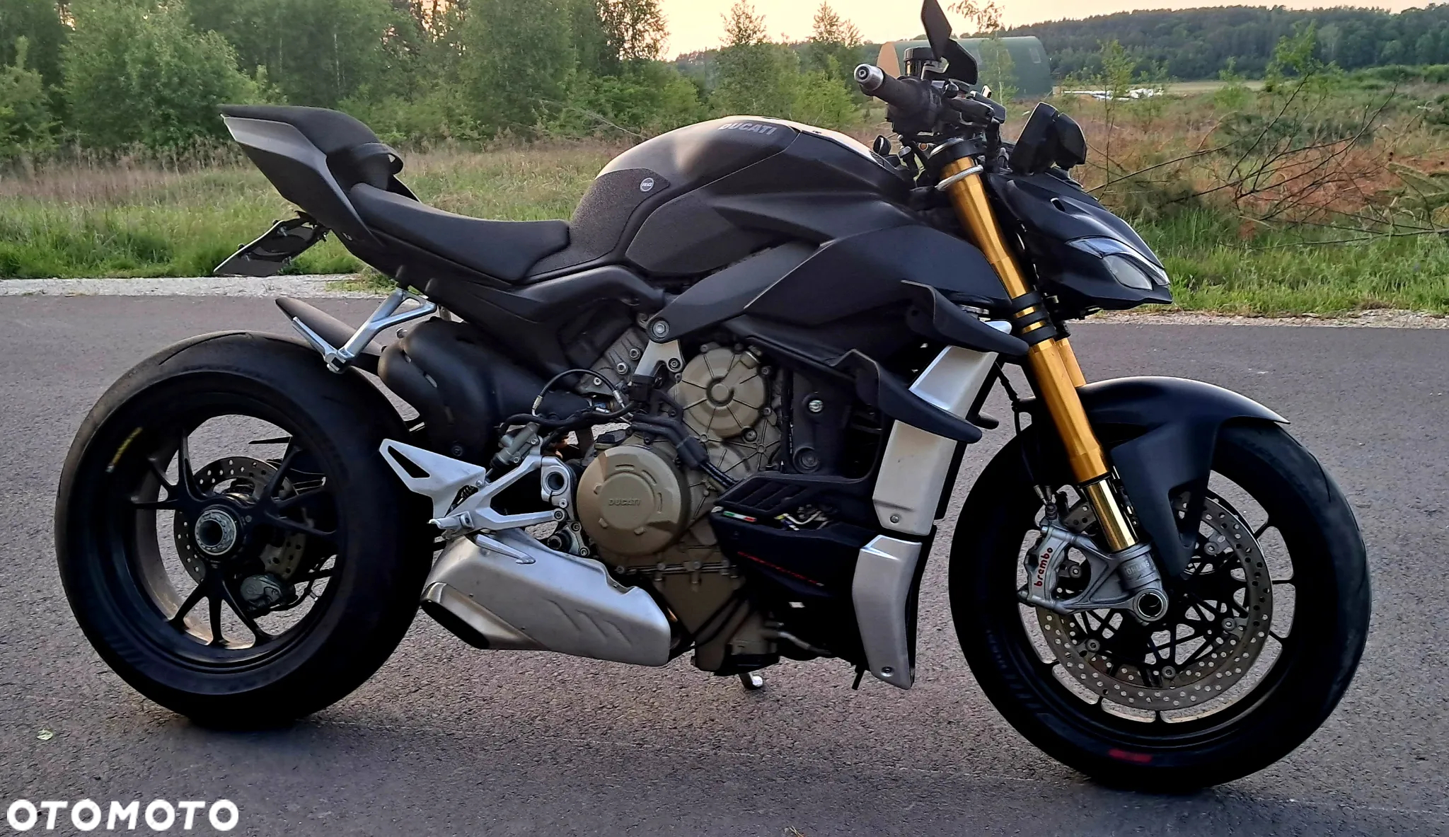 Ducati Streetfighter V4 - 6