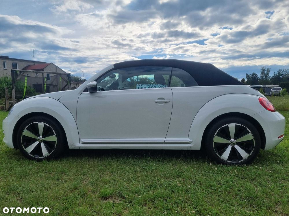 Volkswagen Beetle - 1