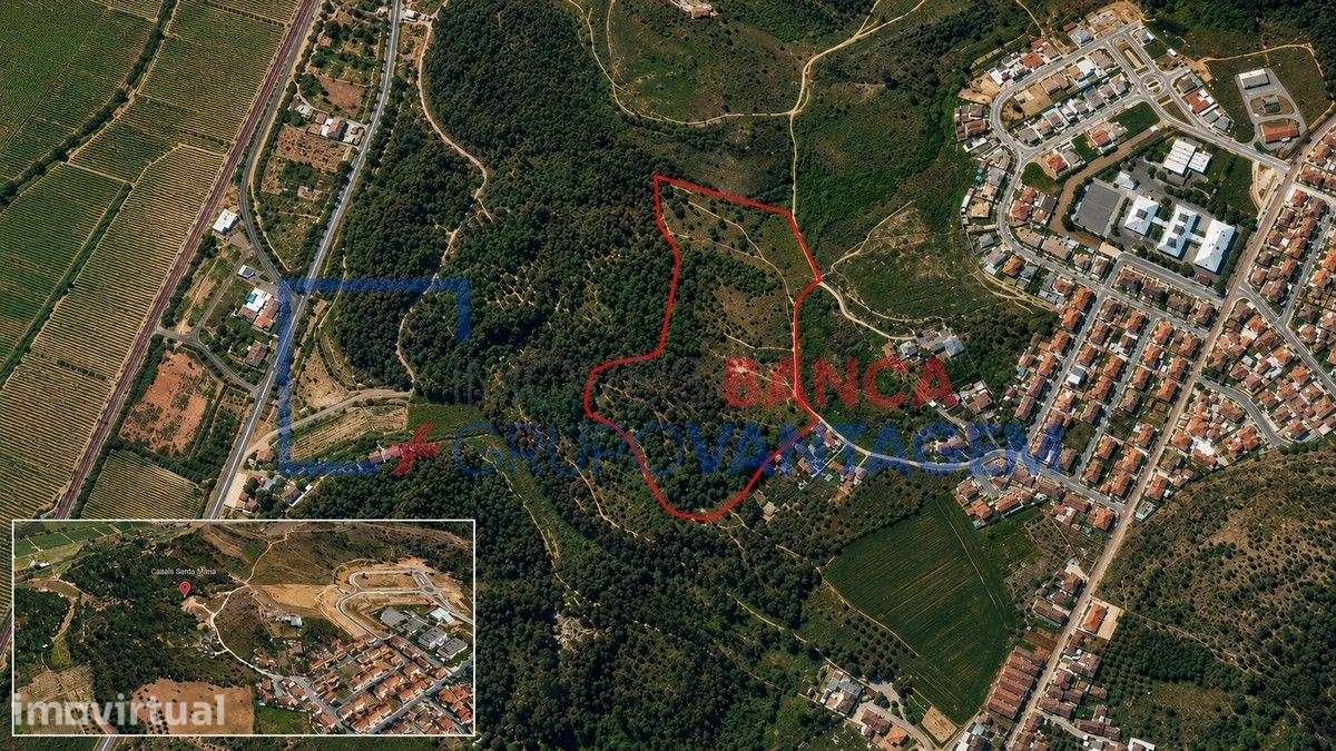 TERRENO SANTARÉM - Grande imagem: 3/8
