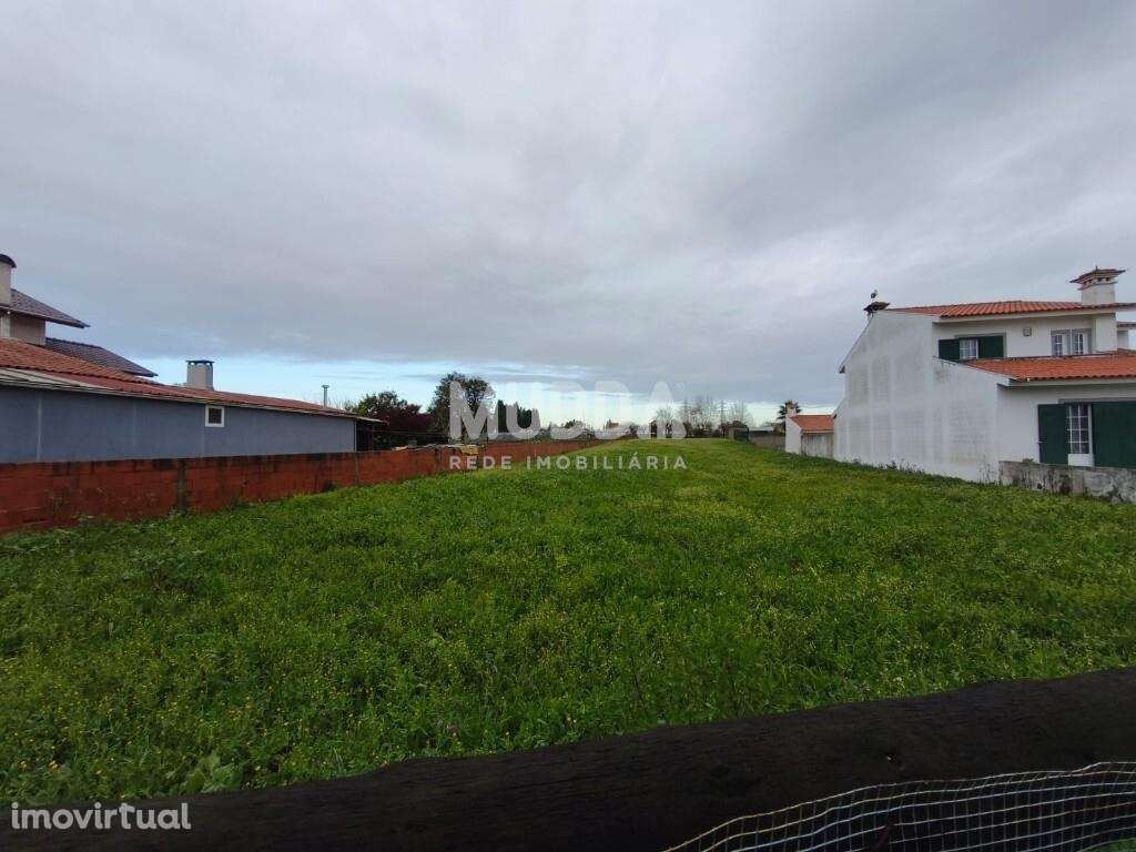 Terreno urbano destinado a construção, situado em  Eixo - Grande imagem: 3/8