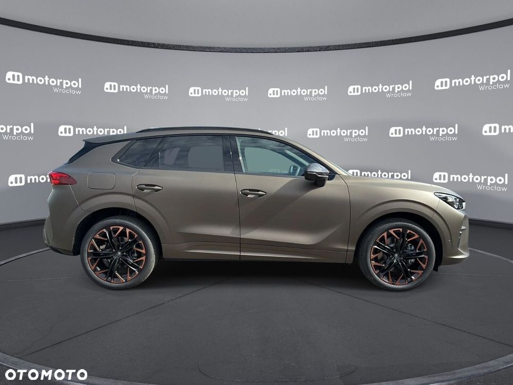 Cupra Terramar - 11