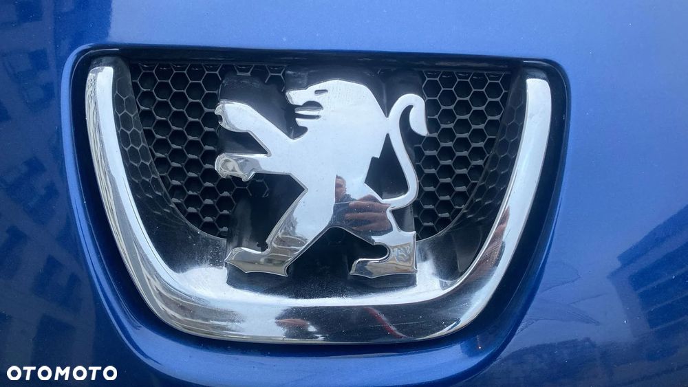 Peugeot 207 1.6 HDi - 13