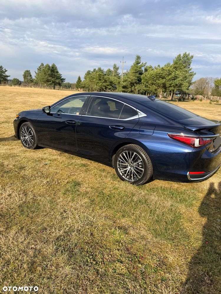 Lexus ES 300h Omotenashi - 5